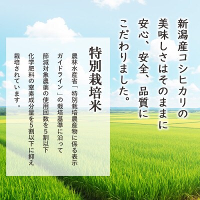 〈令和7年産 新米〉 新潟産コシヒカリ 特別栽培米5kg
