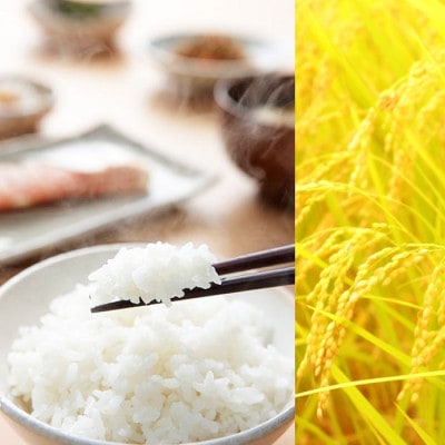 新潟産コシヒカリ 特別栽培米5kg 令和6年産