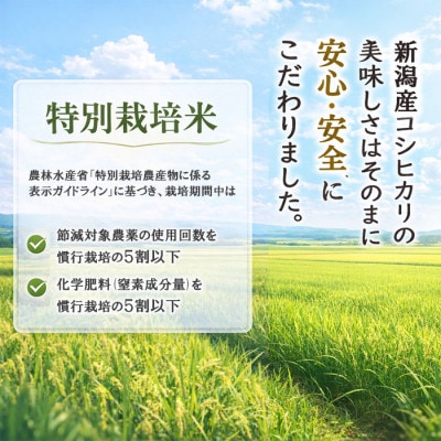 令和7年産 新潟産コシヒカリ 特別栽培米 10kg (5kg×2袋) 安心品質