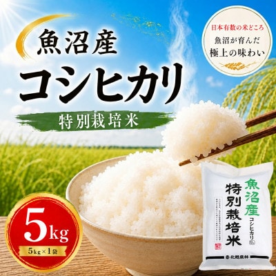【令和7年産】魚沼産コシヒカリ 特別栽培米 5kg | ふっくら艶やか、甘み際立つ味わい