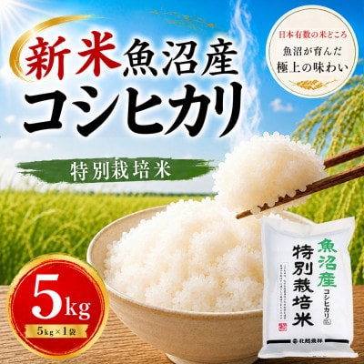 【令和8年産 新米予約】魚沼産コシヒカリ 特別栽培米 5kg | ふっくら艶やか、甘み際立つ味わい