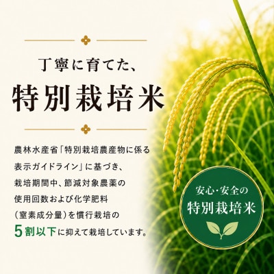 【令和7年産】魚沼産コシヒカリ 特別栽培米 5kg | ふっくら艶やか、甘み際立つ味わい