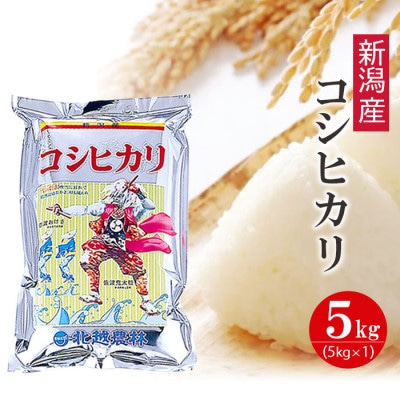 新潟産コシヒカリ5kg 令和6年産