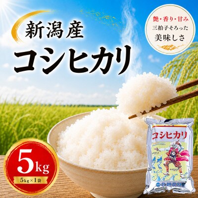【令和7年産】新潟産コシヒカリ 5kg 精米 | 甘み・粘り・香りが自慢の新潟米