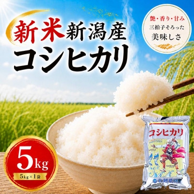 【令和8年産 新米予約】 新潟産コシヒカリ 5kg 精米 | 甘み・粘り・香りが自慢の新潟米
