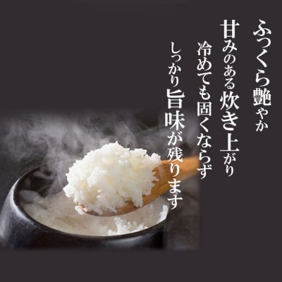 新潟産コシヒカリ5kg 令和6年産