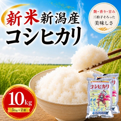 【令和8年産 新米予約】新潟産コシヒカリ 10kg(5kg×2袋)精米 | 甘み・粘り・香りが自慢