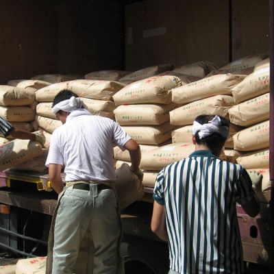 〈令和7年産 新米〉 新潟産コシヒカリ10kg