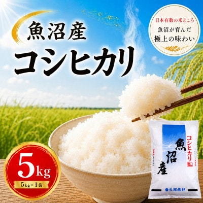 【令和7年産】魚沼産コシヒカリ 5kg|一粒一粒に甘み広がるふっくらごはん