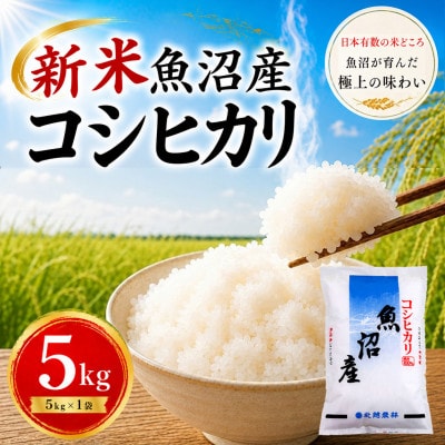 【令和8年産 新米】魚沼産コシヒカリ 5kg|一粒一粒に甘み広がるふっくらごはん