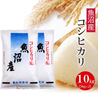 魚沼産コシヒカリ10kg 令和6年産