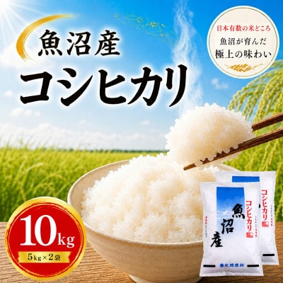【令和7年産】魚沼産コシヒカリ 10kg(5kg×2袋)|一粒一粒に甘み広がるふっくらごはん