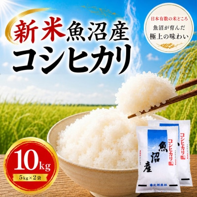 【令和8年産 新米】魚沼産コシヒカリ 10kg(5kg×2袋)|一粒一粒に甘み広がるふっくらごはん