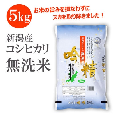 無洗米 新潟産コシヒカリ5kg 令和6年産 精米