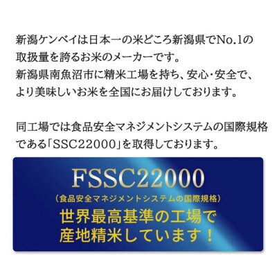 無洗米 新潟産コシヒカリ5kg 令和6年産 精米