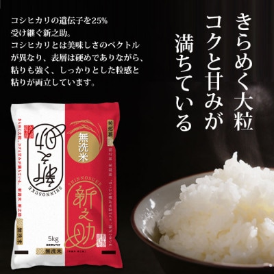 無洗米 新潟産新之助5kg 令和6年産 精米