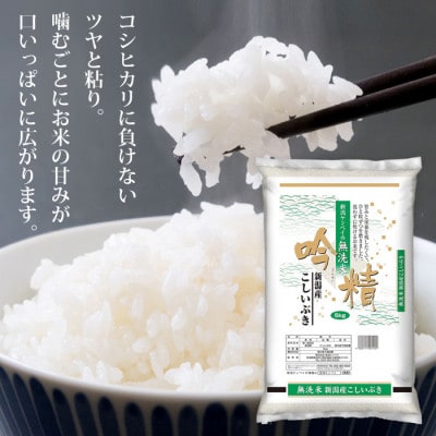 無洗米 新潟産こしいぶき5kg 令和6年産 精米