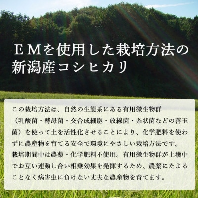 【毎月定期便】有機栽培米 新潟産コシヒカリ5kg(精米)有機JAS認証全6回