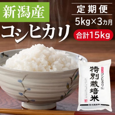 【毎月定期便】特別栽培米 新潟産コシヒカリ 5kg(精米)[5kg×1袋]全3回
