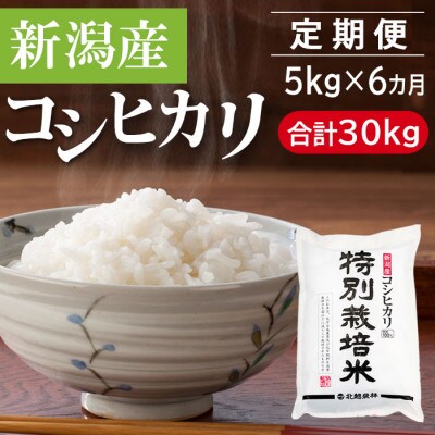 【毎月定期便】特別栽培米 新潟産コシヒカリ 5kg(精米)[5kg×1袋]全6回