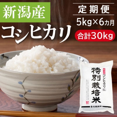 【毎月定期便】特別栽培米 新潟産コシヒカリ 5kg(精米)[5kg×1袋]全6回