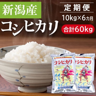 【毎月定期便】新潟産コシヒカリ(精米)10kg(5kg×2袋)全6回