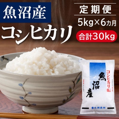 【毎月定期便】魚沼産コシヒカリ 5kg(精米)全6回