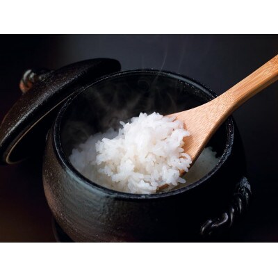 雪蔵　新潟県産コシヒカリ&新之助　各2kg(精米)