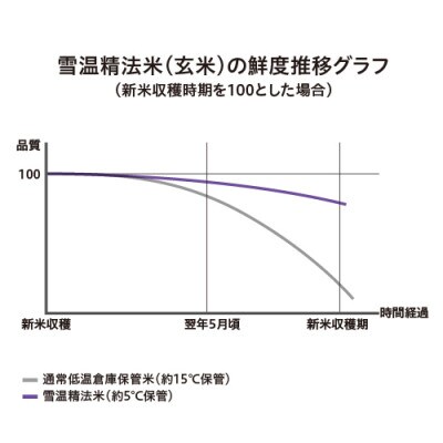 雪温精法　新潟県産こしひかり　5kg