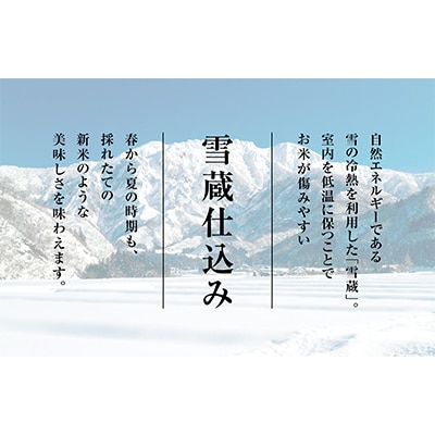 【毎月定期便】佐渡産コシヒカリ　精米　2kg全3回