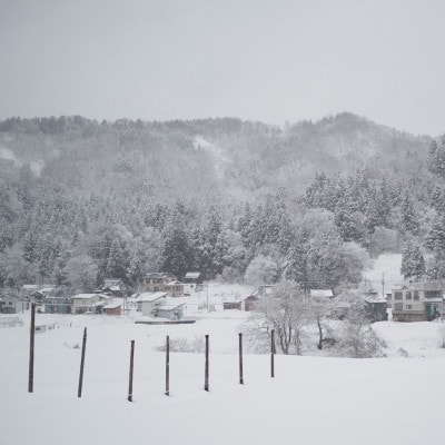 雪のまちの玄米麹(栽培期間中 農薬・化学肥料不使用)[里山ボタニカル]