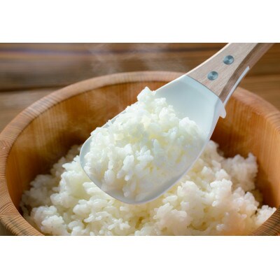 satiしゃもじ 宴　white × natural