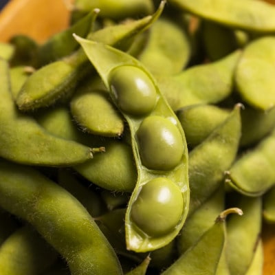 新潟県黒埼産 くろさき茶豆5kg  A品 新潟県産】くろさき茶豆 【1.5kg】※2023年8月上旬より順次発送