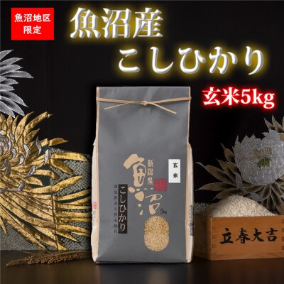 【令和5年産】新潟県!特A地区!魚沼産コシヒカリ(玄米5kg)