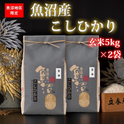 【令和5年産】新潟県!特A地区!魚沼産コシヒカリ【玄米10kg(5kg×2袋)】
