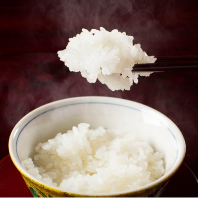 【令和7年産 新米予約】新潟県!特A地区!魚沼産コシヒカリ【白米10kg(5kg×2袋)】