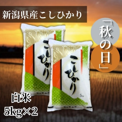 【令和6年産 】新潟県産こしひかり「秋の日」(白米10kg)【5kg×2袋】新潟県の美味しいお米