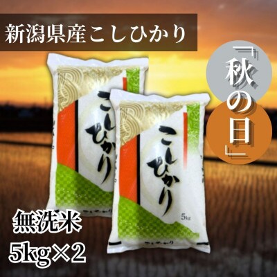 【令和6年産 】新潟県産こしひかり「秋の日」無洗米10kg(5kg×2袋) 新潟県の美味しいお米