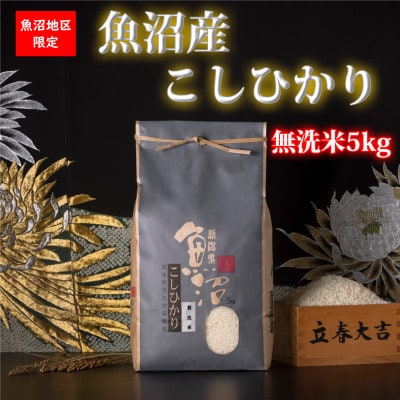 【毎月定期便】【新潟県 特A地区】魚沼産コシヒカリ(無洗米5kg)全12回