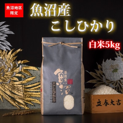 【毎月定期便】【新潟県 特A地区】魚沼産コシヒカリ(白米5kg)全12回