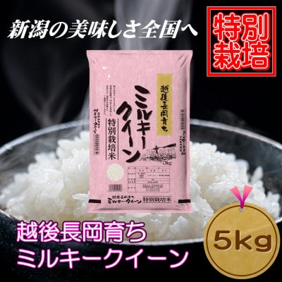 【特別栽培米】新潟県長岡産ミルキークイーン5kg