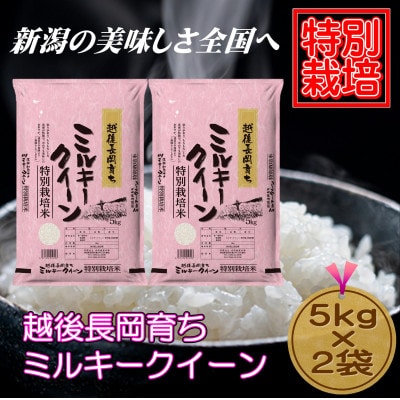 【特別栽培米】新潟県長岡産ミルキークイーン10kg(5kg×2袋)