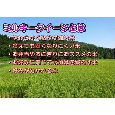 【特別栽培米】新潟県長岡産ミルキークイーン10kg(5kg×2袋)