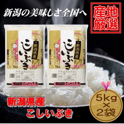 新潟県産 こしいぶき 5kg 【精白米】 令和6年産 米 お米 - アスクル