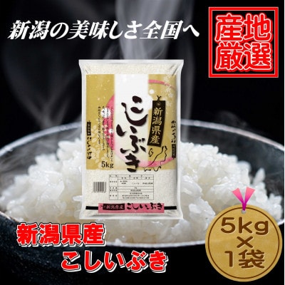 新潟県産こしいぶき5kg