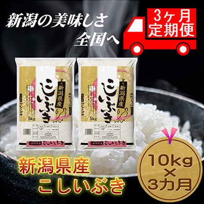 【毎月定期便】【3カ月連続お届け】新潟県産こしいぶき5kg×2袋全3回