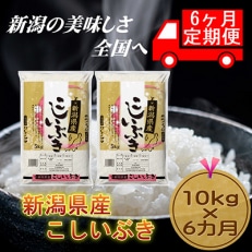 【毎月定期便】【6カ月連続お届け】新潟県産こしいぶき5kg×2袋全6回