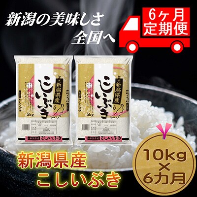 【毎月定期便】【6カ月連続お届け】新潟県産こしいぶき5kg×2袋全6回