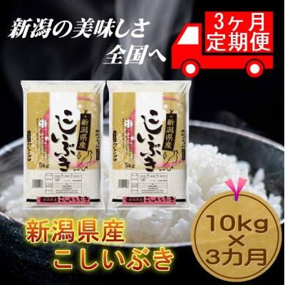 【毎月定期便】【3カ月連続お届け】新潟県産こしいぶき10kg(5kg×2袋)全3回
