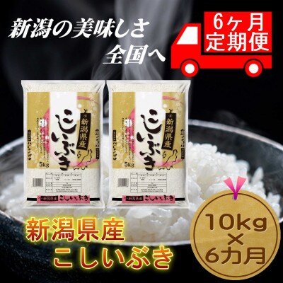 【毎月定期便】【6カ月連続お届け】新潟県産こしいぶき10kg(5kg×2袋)全6回